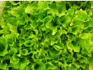 naturpac (productos agrarios canarios)