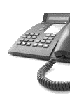 teléfono de pedidos