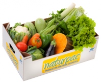 Caja B: Verduras y Hortalizas